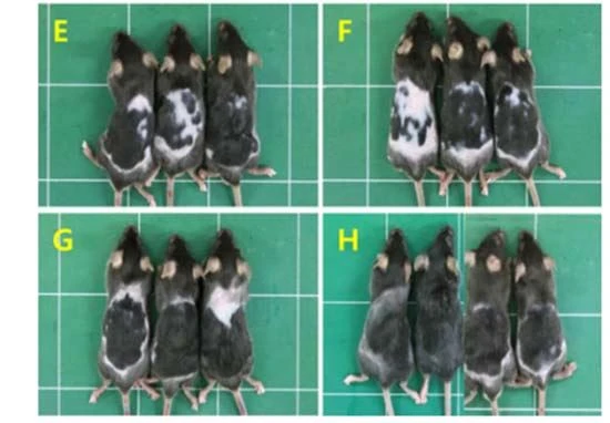figure 2-2 figure 2-2
