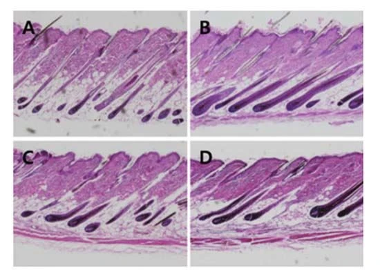 figure 3-1 figure 3-1