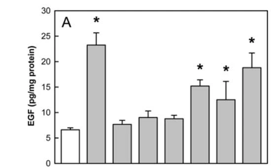 figure 6-1 figure 6-1