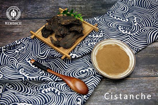 Cistanche extract