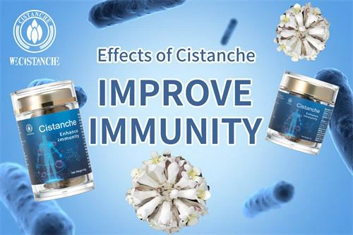 Cistanche has immunity improving effect.