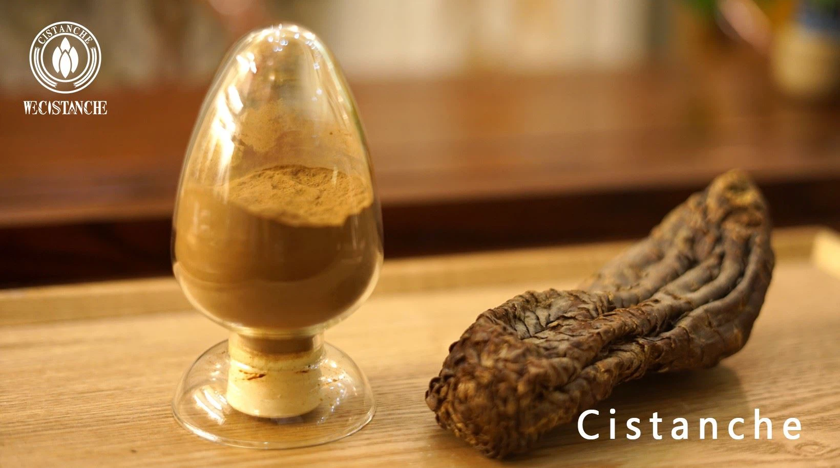 cistanche extract powder