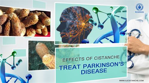 Cistanche has neuroprotective effects