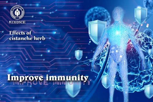 Improve immunity