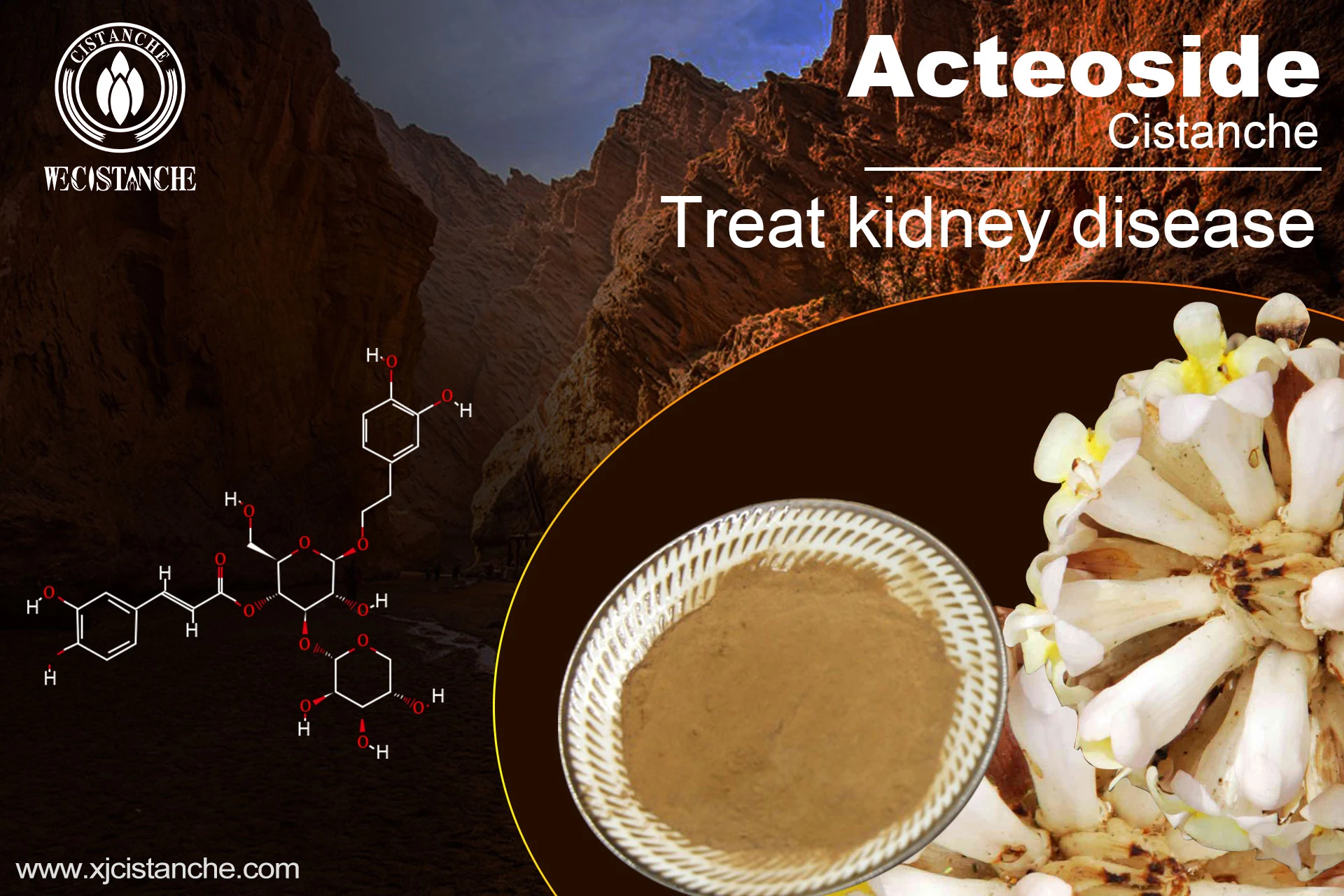 how to prevent kidney disease how to prevent kidney disease