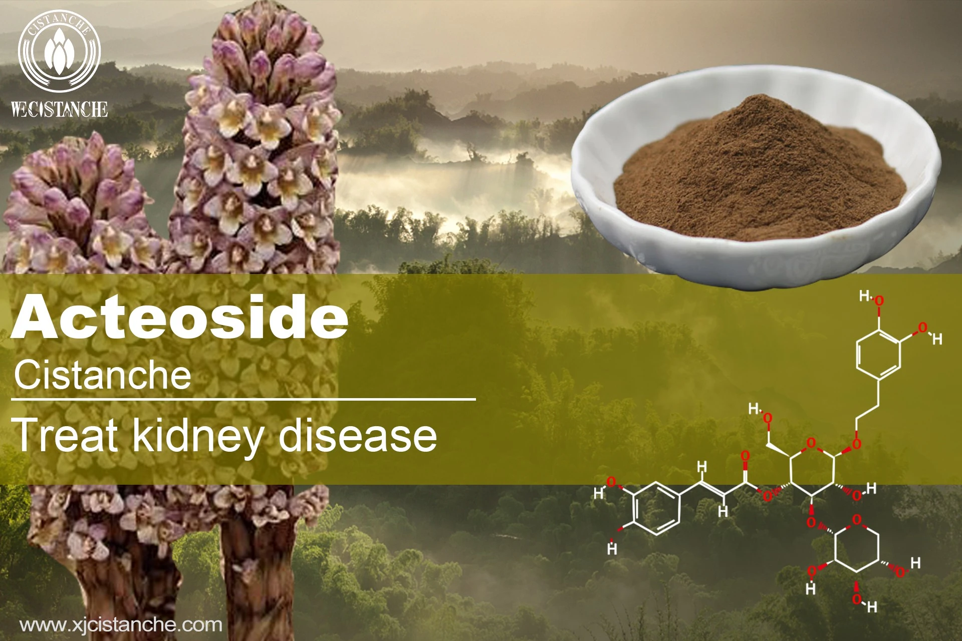 the best herb for acute kidney failure the best herb for acute kidney failure