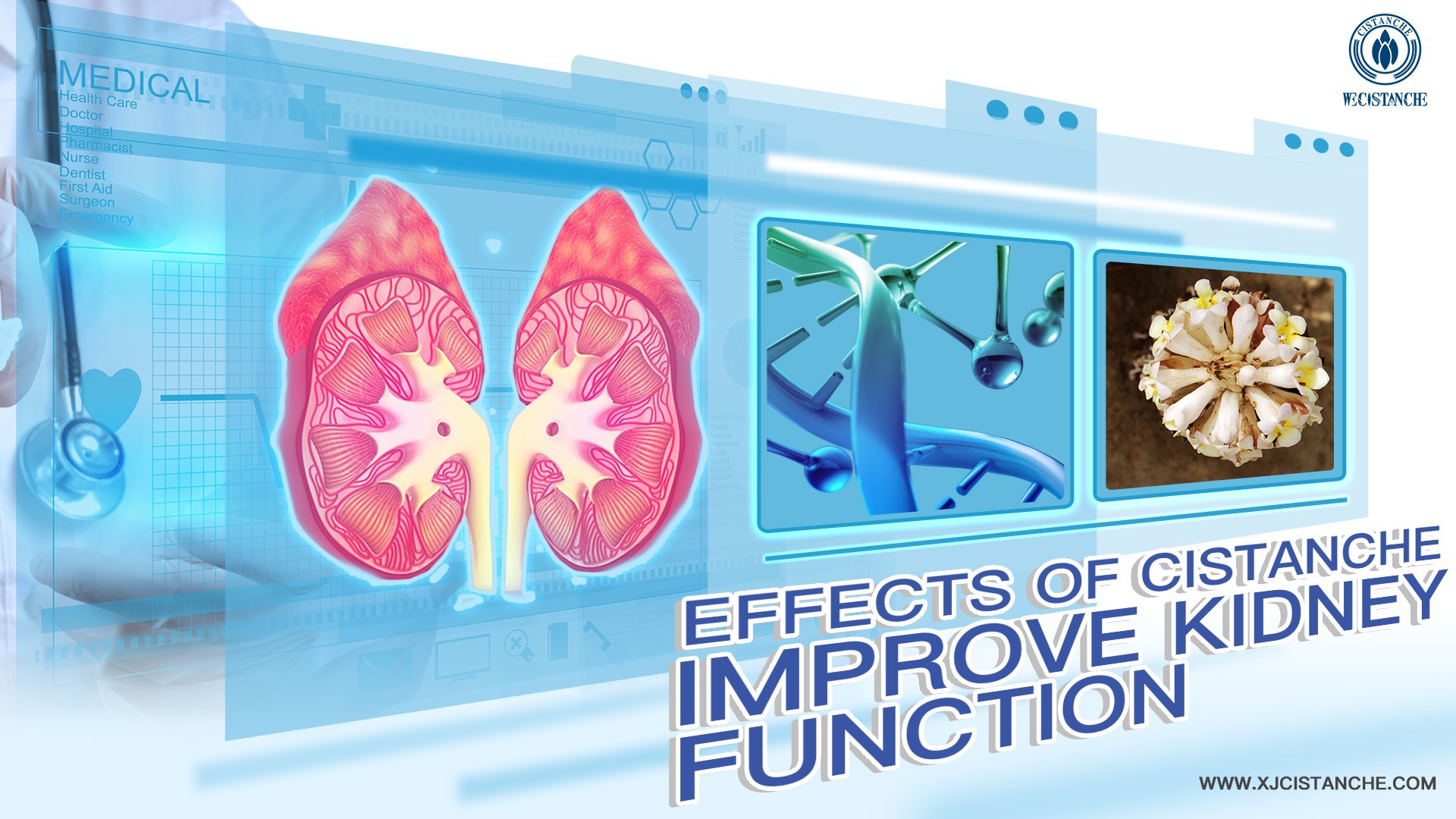 improve kidney function improve kidney function