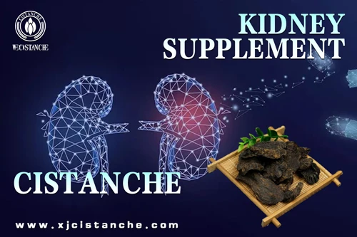 kidney supplement for kidney failure kidney supplement for kidney failure