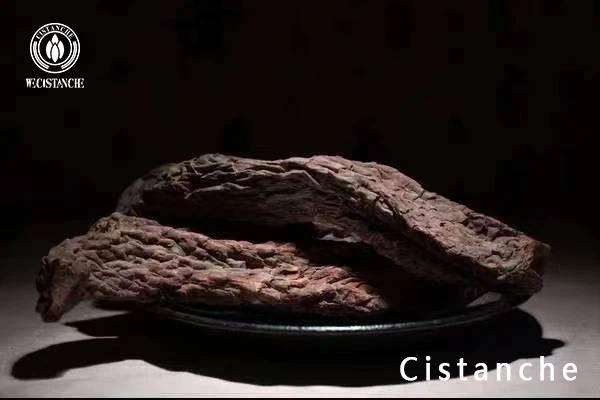 cistanche