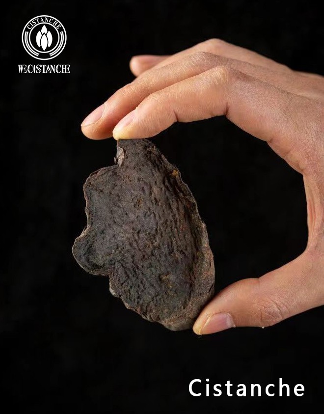 cistanche deserticola supplement