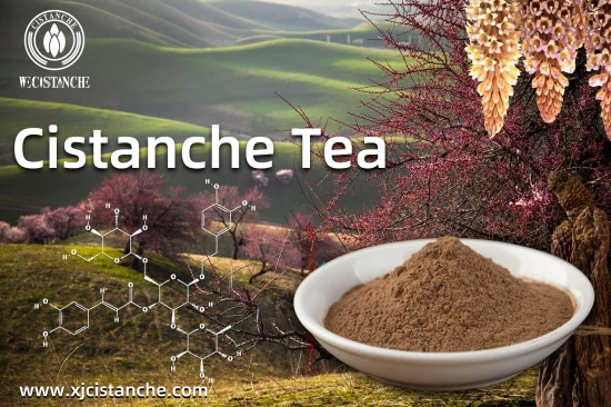 cistanche tea