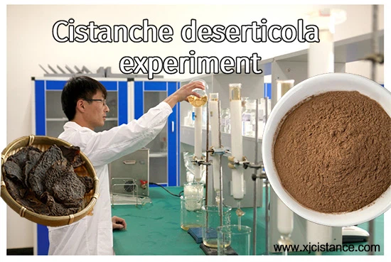 Cistanche deserticola experiment