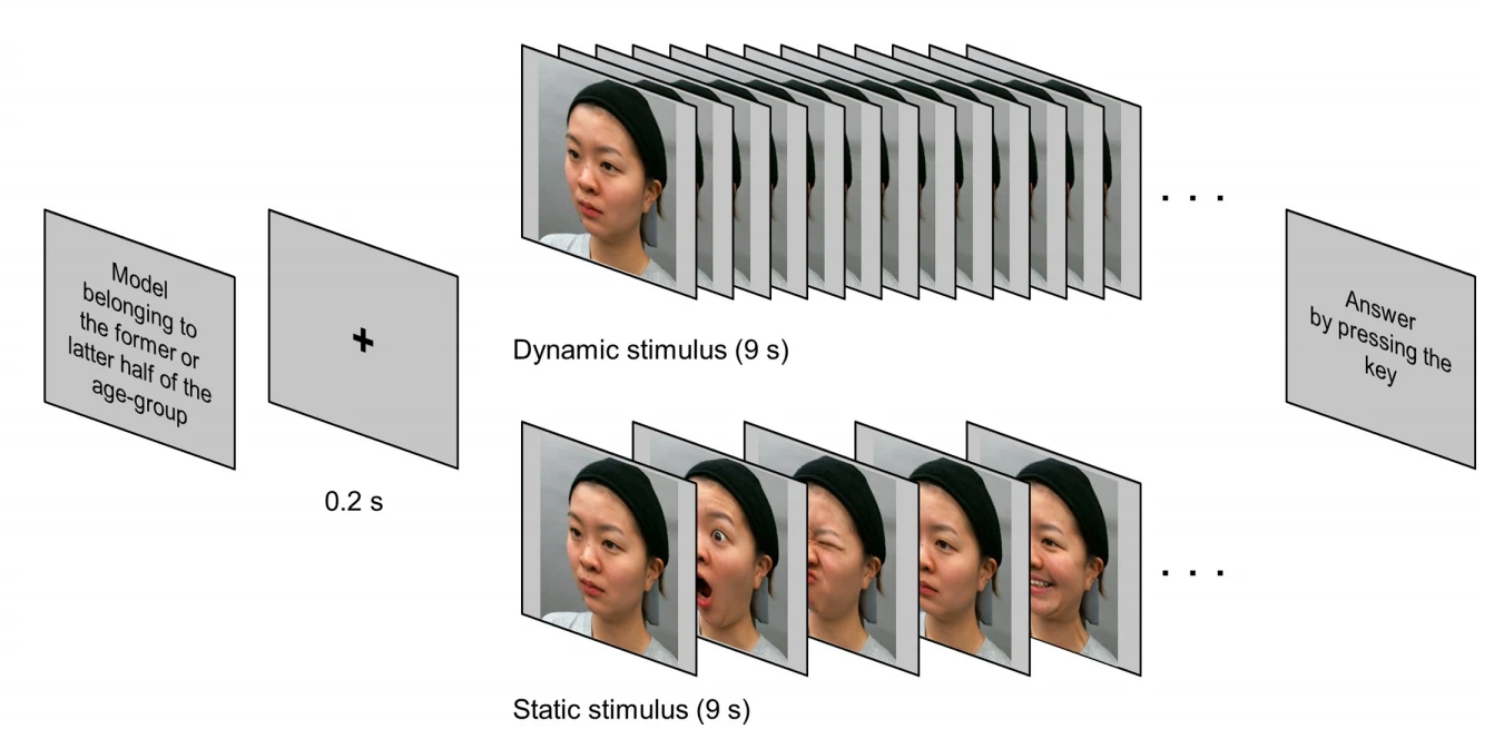 cistanche research on reduce wrinkle cistanche research on reduce wrinkle
