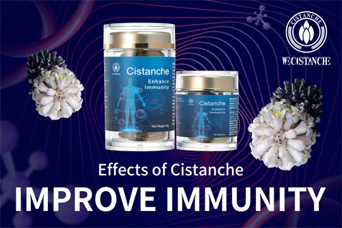 where to buy cistanche where to buy cistanche