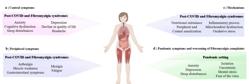 chronic fatigue syndrome