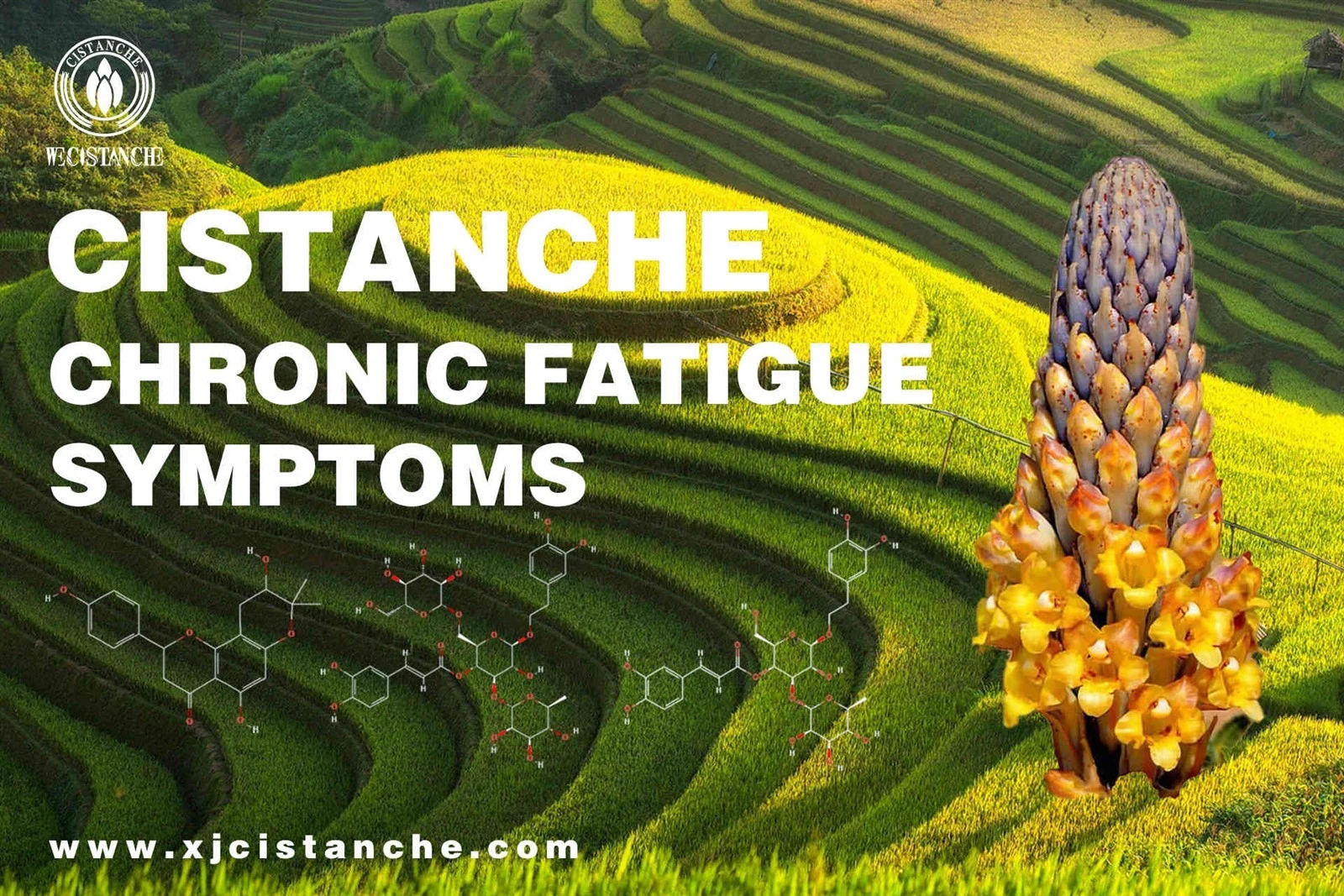 fatigue causes fatigue causes