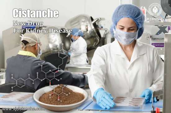 9% acteoside cistanche for kidney 9% acteoside cistanche for kidney