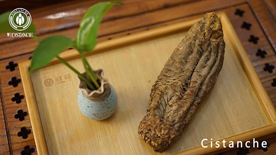 cistanche tubulosa benefits and side effects