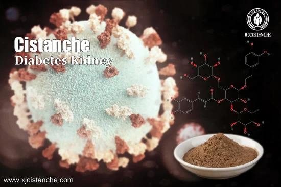 NEW HERBAL CISTANCHE FOR CHRONIC KIDNEY DISEASE 