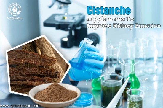 NEW HERBAL  CISTANCHE FORMULATION FOR CKD