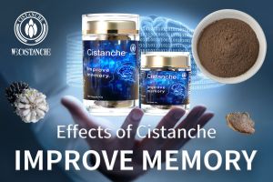 improve short term memory improve short term memory