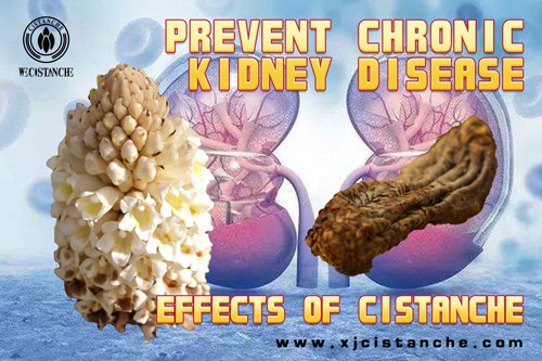 prevenet chronic kidney disease
