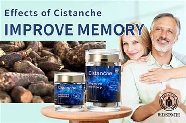 Migliora la memoria e previeni il morbo di Alzheimer, affidati a questo! Cistanche al ginseng del deserto