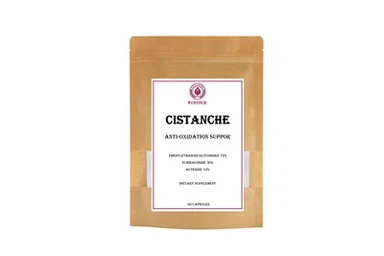 Integratore alimentare Cistanche Supporto antiossidante Glicosidi feniletanoidi 75 percento Echinacoside 30 percento Acteoside 12 percento